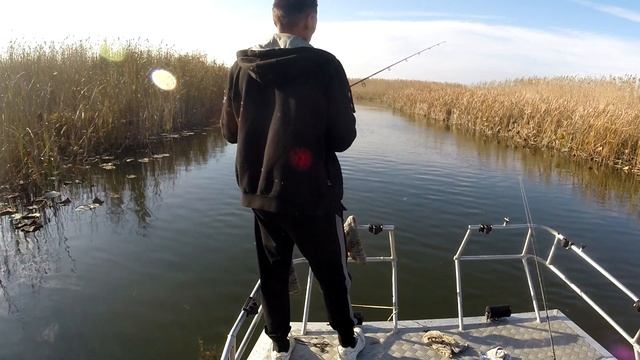 Щука Астрахань осень 19 смотреть онлайн