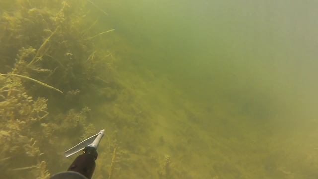 Сомик на Рясном смотреть онлайн