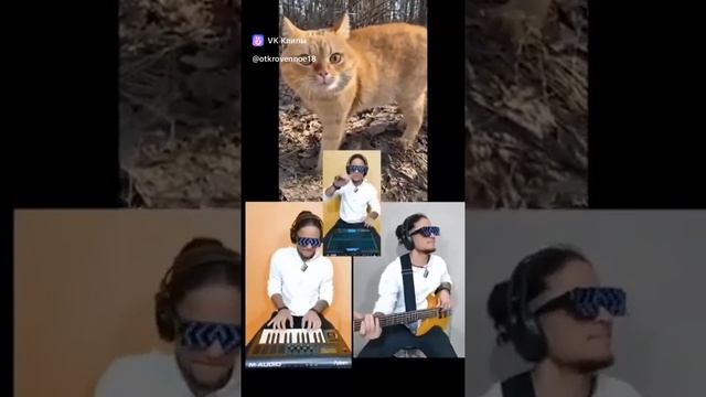 vkclips_20241129015232*** смотреть онлайн