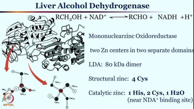 Week 2-Lecture 8 смотреть онлайн