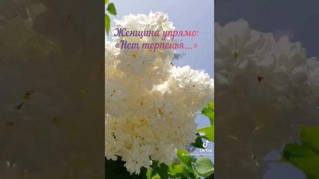Посвящение женщине! смотреть онлайн