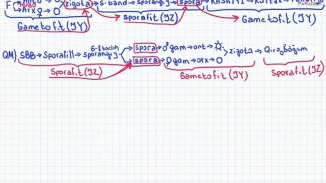 Biologiya 43 Mavzu 6 Sinf