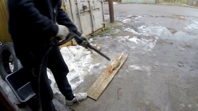 чистка окуня смотреть онлайн