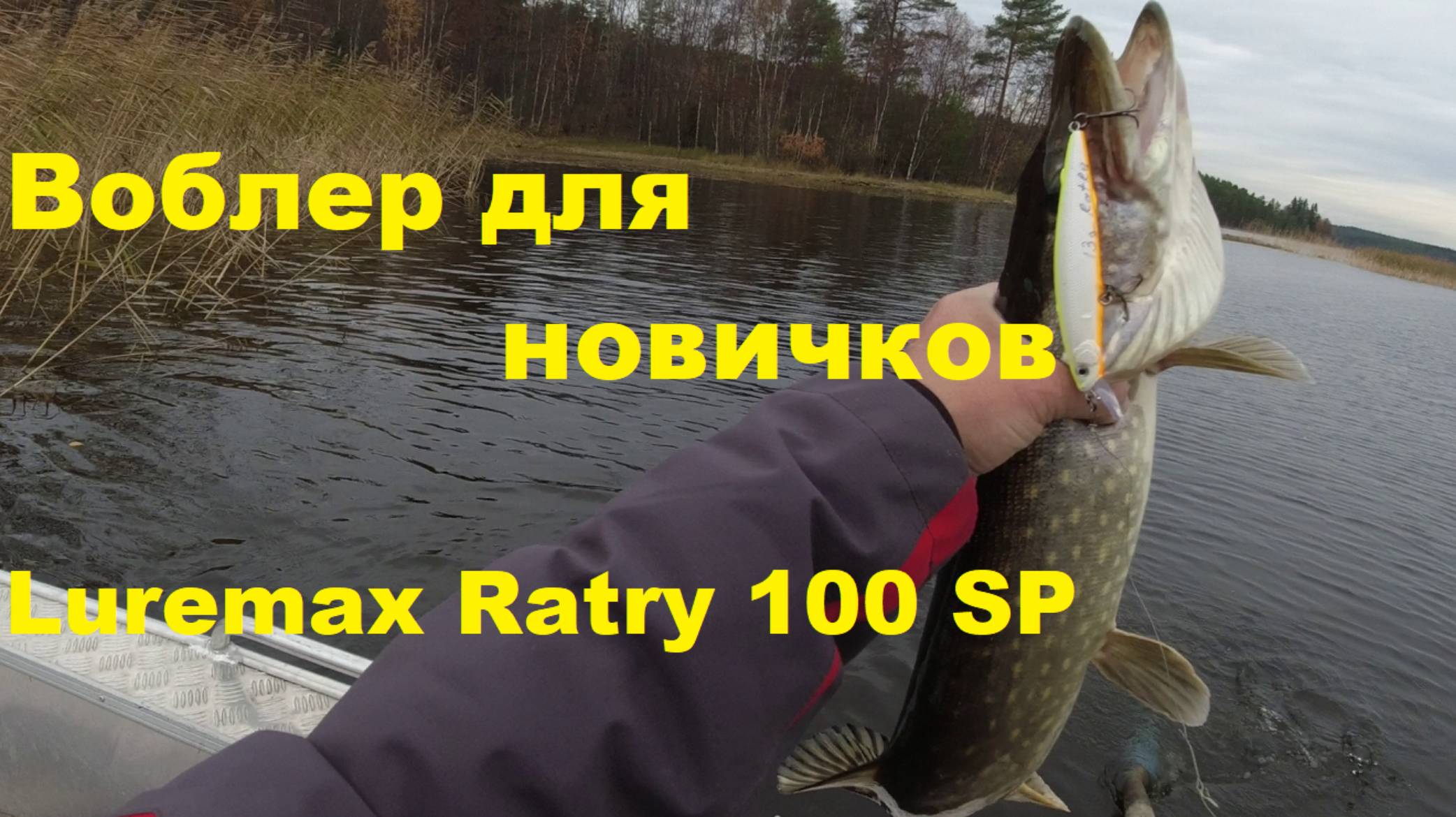 Воблер для новичков. Обзор воблера LureMax Ratry 100 SP смотреть онлайн