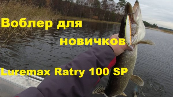 Воблер для новичков. Обзор воблера LureMax Ratry 100 SP