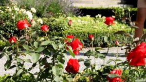 Menschen A1.1. Clip 11. Mein Tag