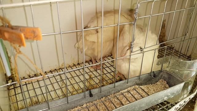 [Natalex] Зарядка и работа ноутбука от солнечной батареи в квартире... смотреть онлайн