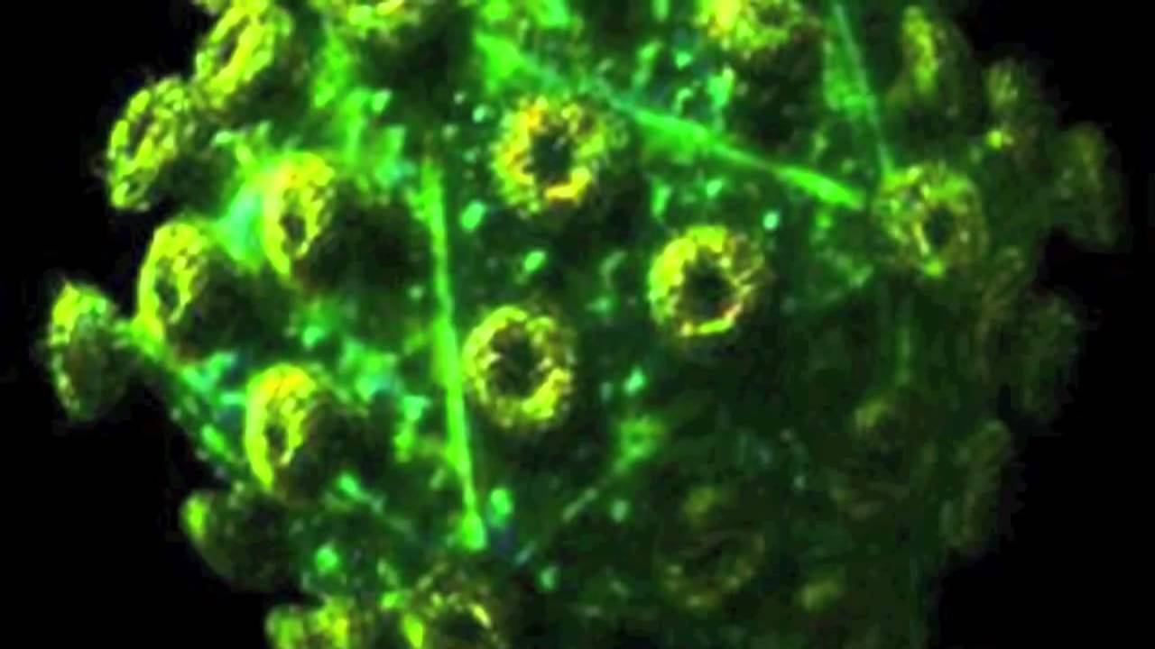 МИСТИКА! ДНК ПАДШИХ смотреть онлайн