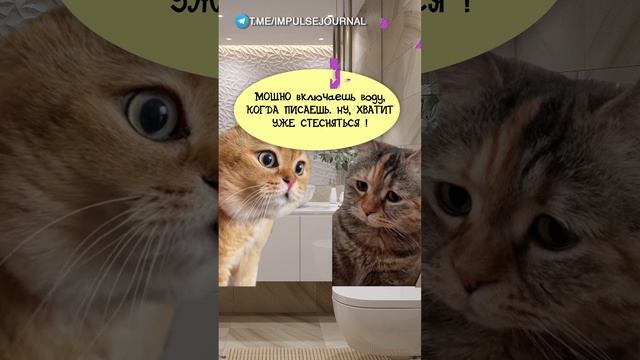 Кульбит #мыкотики #вмем #разговор #анекдот #шутки #кот #юмор #смешное #прикольно #мемы #cat смотреть онлайн