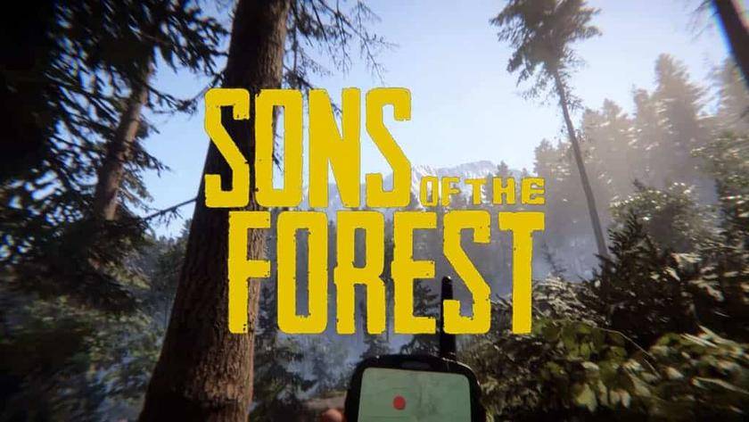 Sons of the Forest / 9 смотреть онлайн