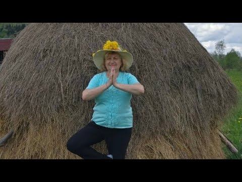 Вечернее равновесие ! И прогулка с нами смотреть онлайн
