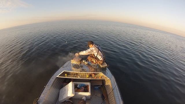 Правильная ловля щуки на лим. Рясном смотреть онлайн