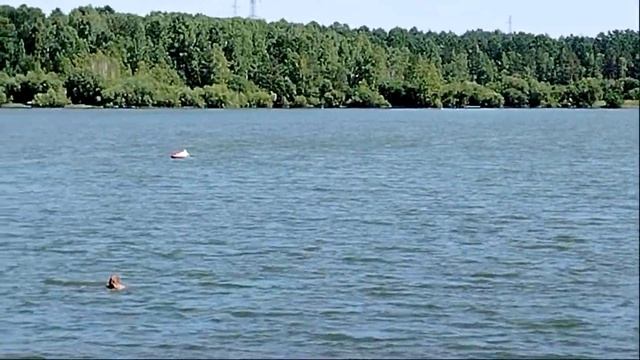 Ангарск Еловское водохранилище 8 07 2024 измерение радиации смотреть онлайн