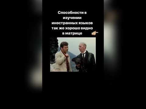 Матрица Пифагора : способности к иностранным языкам смотреть онлайн