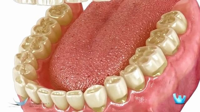 Бруксизмо смотреть онлайн