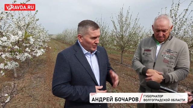 В ВОЛГОГРАДСКОЙ ОБЛАСТИ СОЗДАДУТ КРУПНЕЙШИЙ В РОССИИ СЕЛЕКЦИОННЫЙ САДОВЫЙ ЦЕНТР смотреть онлайн