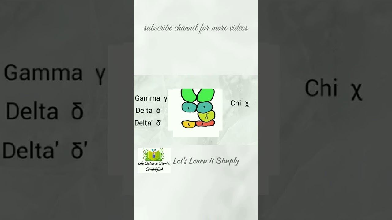 DNA polymerase3 | part3 | clamp loader | csir net | simplified in Malayalam смотреть онлайн