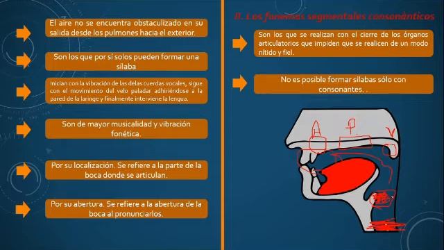 Octava semana Fonética y fonología 5° de secundaria смотреть онлайн