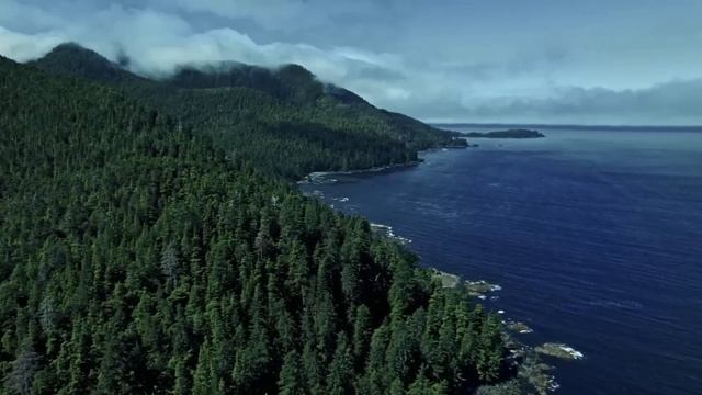 "Мудрость". 6 декабря. День за днем в Ал-анон. Ежедневник для созависимых. смотреть онлайн