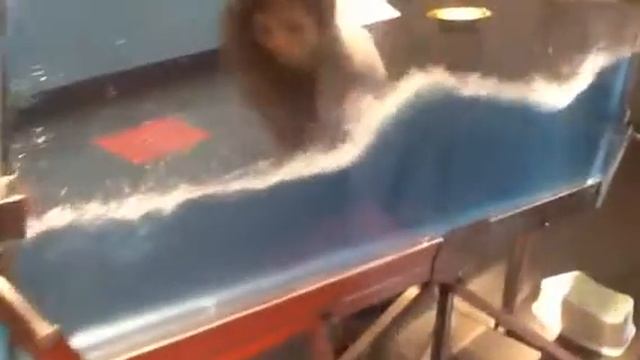 Водный зал. Эксперимента ритм смотреть онлайн