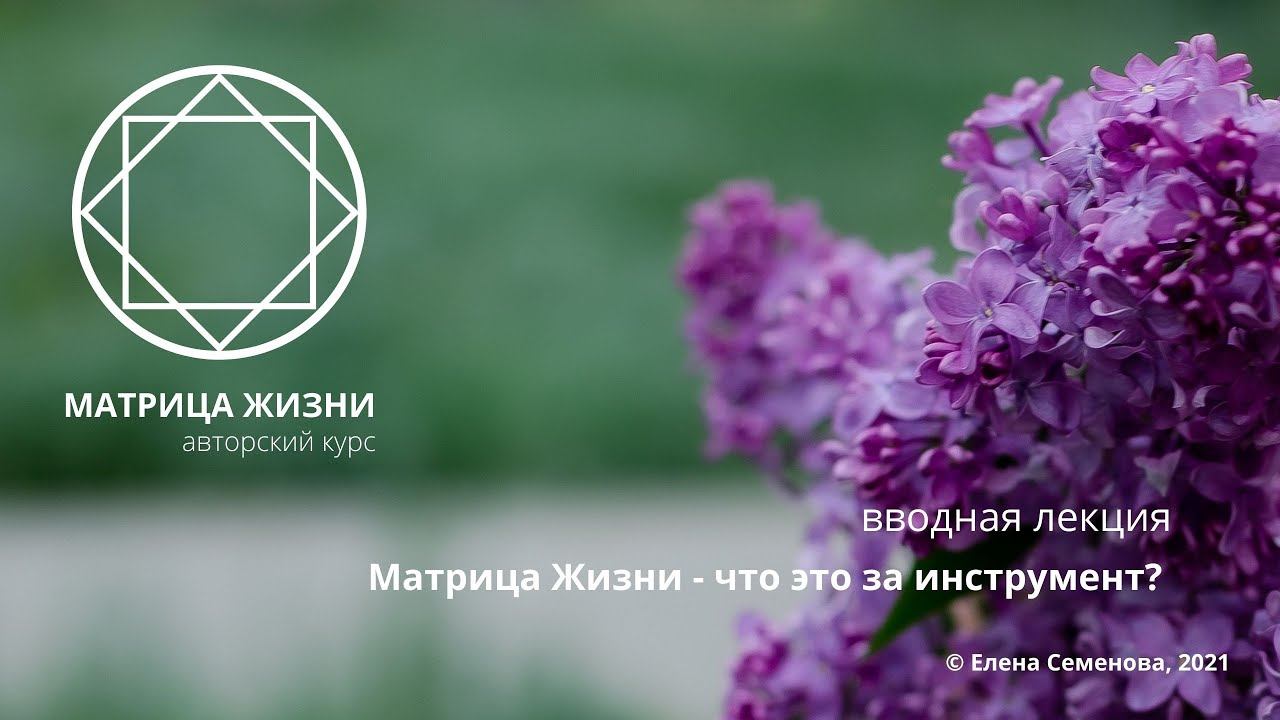 Мудрость волшебников