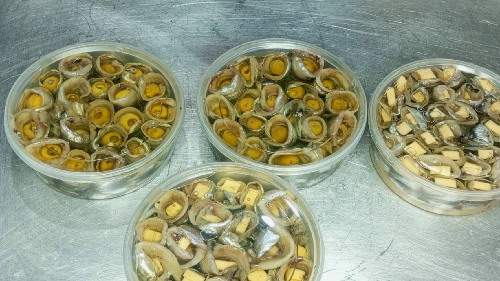 РОЛЬМОПСЫ ИЗ МОЙВЫ ПРЕСЕРВЫ #boosty смотреть онлайн