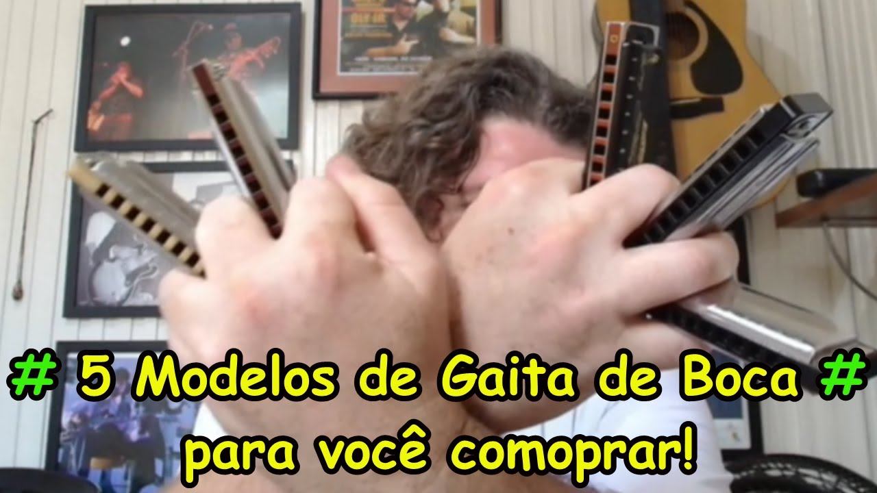 Gaita De Boca  - Cinco Modelos Para Comprar - Review