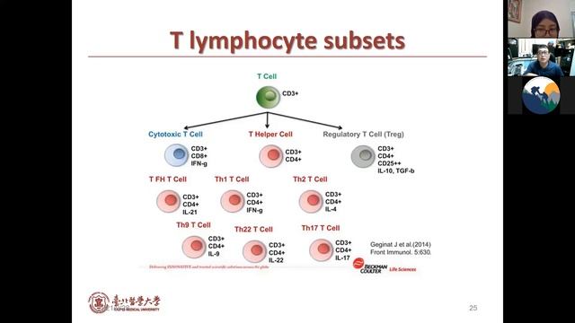 Immune System with Prof Jungshan смотреть онлайн