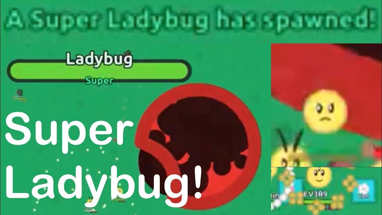 SUPER LADYBUG FIGHT! Florr.io смотреть онлайн