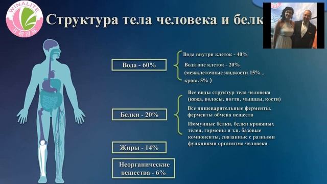 Олигопептиды Виналайт смотреть онлайн