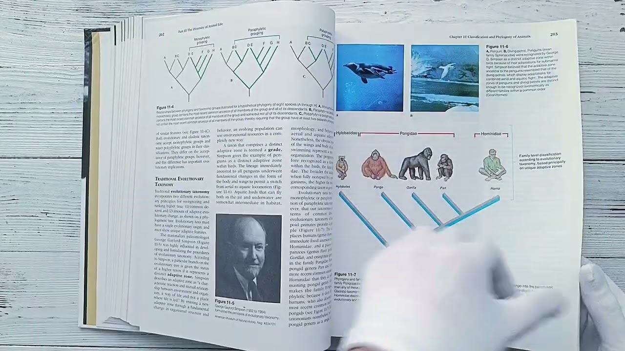 Обзор книги Zoology #booklya #books #booktube #booklya.books #книголюб смотреть онлайн