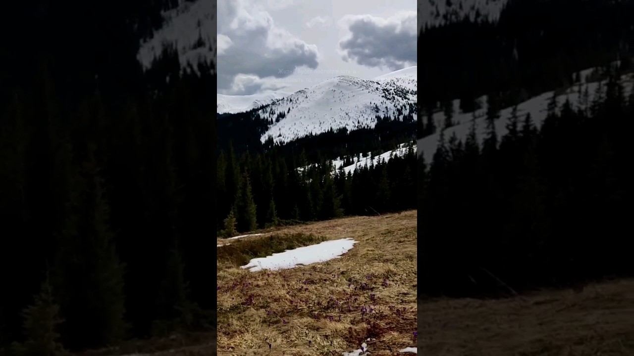 Во что ты веришь? Читай описание #вера #осознанность #природа смотреть онлайн