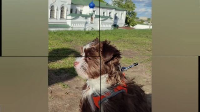 первый день рождения.mp4