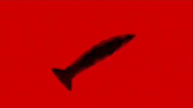 "Regeneration" - Procedural Organisms in Unity3d смотреть онлайн
