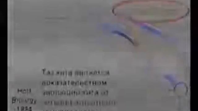 4 Полная чушь в учебниках!!!.mp4 смотреть онлайн