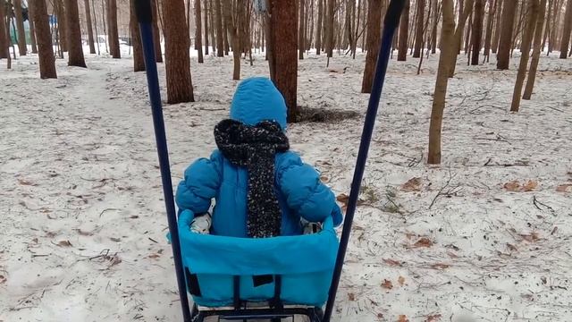 Ежедневная прогулка №12. Тропа белок. смотреть онлайн