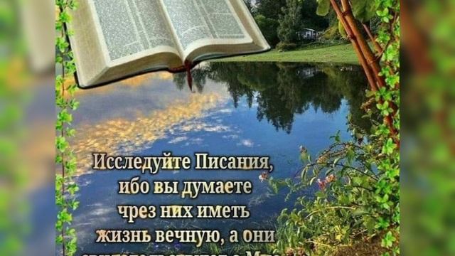 Наполняй себя Словом Божьим🙏🙏🙏 смотреть онлайн