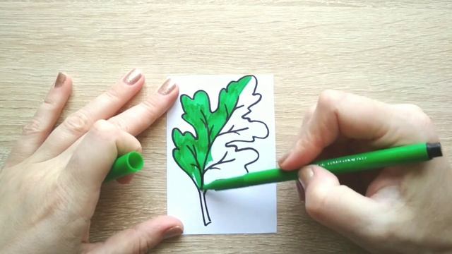 ЛИСТ ДУБА / раскраска ДУБОВЫЙ ЛИСТ / Нарисуй Ка смотреть онлайн
