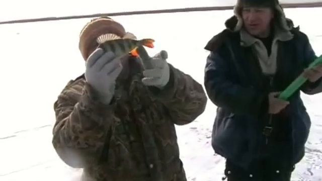 ловля окуня на Гнилом смотреть онлайн