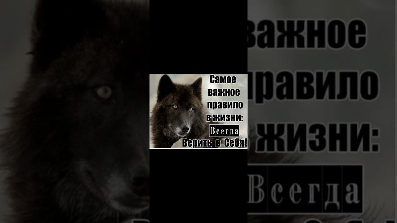 вера в людей смотреть онлайн