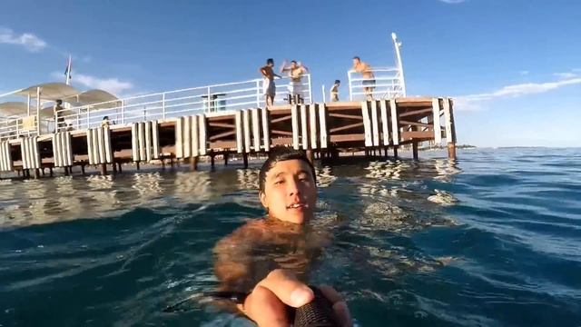 Маня под водой 13 08 2015 смотреть онлайн