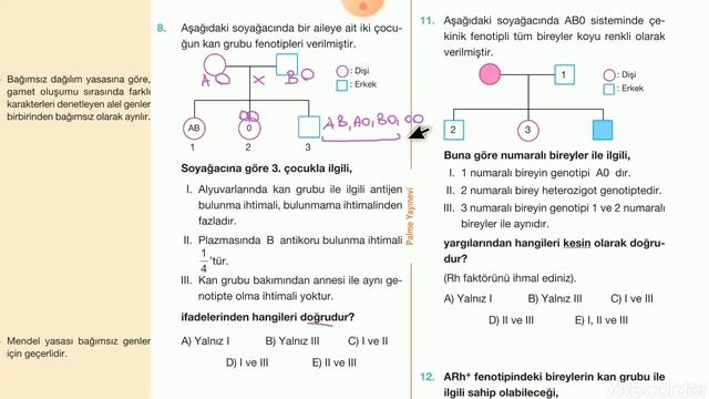 MAYIS 2. HAFTA 12. SINIF TYT BİYOLOJİ KALITIM SORU ÇÖZÜMÜ смотреть онлайн