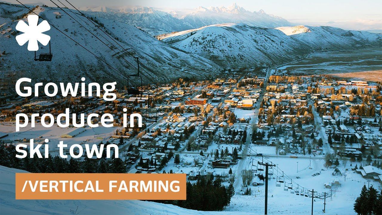Ski town turns car park into vertical farm for local jobs/food смотреть онлайн