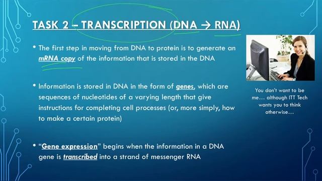 Molecular Genetics Background
