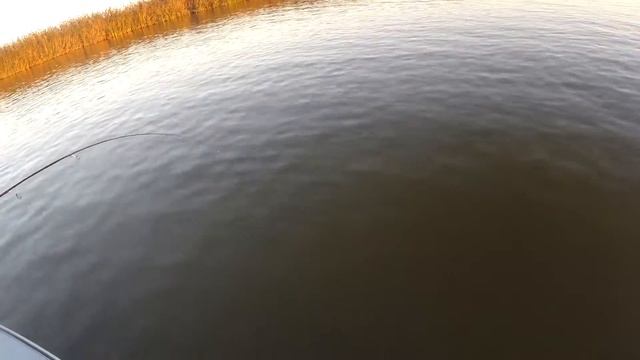 Гандуринский банк 2016 смотреть онлайн