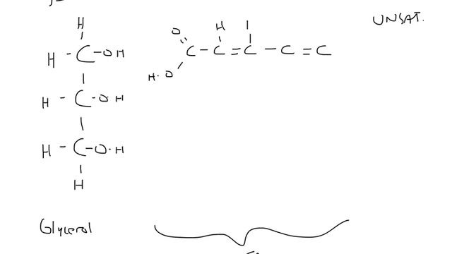 Lipid review смотреть онлайн
