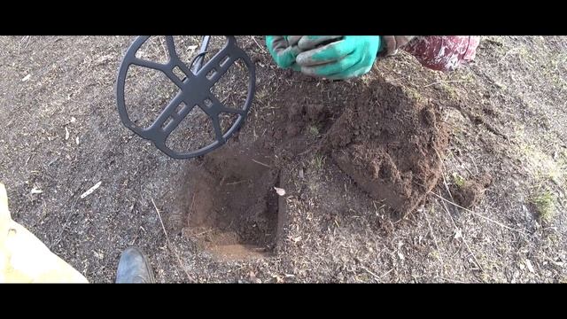 #КОП ЭТО МЫ УДАЧНО С КОМРАДОМ СЪЕЗДИЛИ НАДЕРГАЛИ ЧЕШУЕК ТЕРКАМИ #XTERRA705 смотреть онлайн