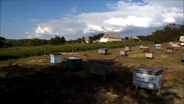на пакетной пасеке 2016 смотреть онлайн