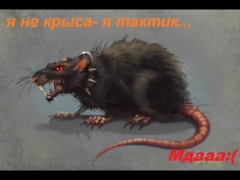 Сурвариум, после таких матчей и не хочется вообще играть- КРЫСЫ((( смотреть онлайн