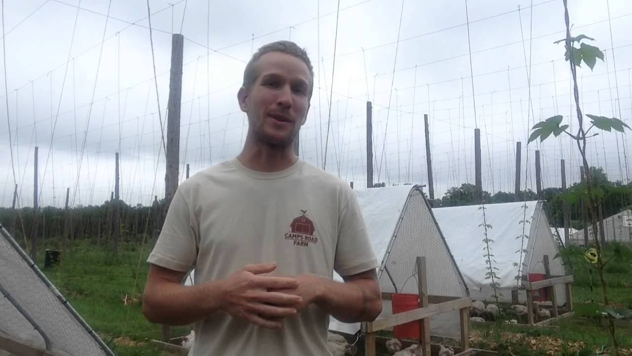 Big shift in my farm plan (Farm Sales Day 88) смотреть онлайн